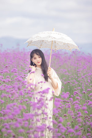 鲁大师中文在线观看免费观看电视剧